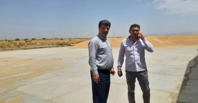 بازدید مدیر شرکت  خدمات حمایتی  کشاورزی استان گلستان، از مزارع کشاورزی شرکت  کشت صنعت شمال چات، متعلق به وزارت دفاع و پشتبانی نیروهای مسلح