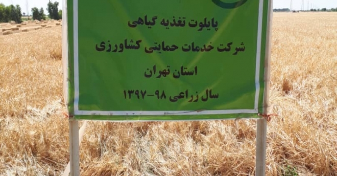 بازدید معاونین  فنی بذر از برداشت مزارع جو استان تهران   