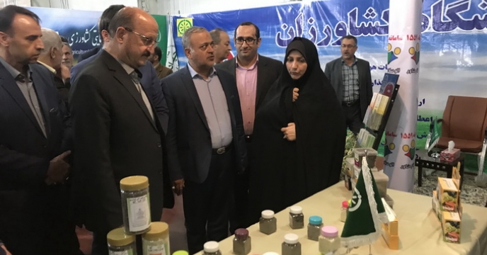 بازدید استاندار قزوین و ریاست سازمان جهاد کشاورزی استان از غرفه شرکت خدمات حمایتی کشاورزی