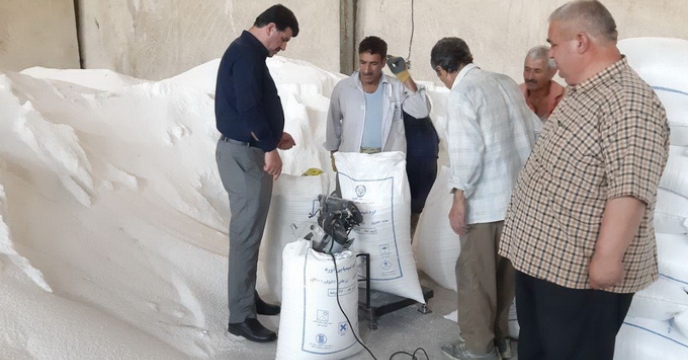 بازدید  مدیر شرکت خدمات حمایتی کشاورزی استان گلستان از  انبار چای بویی گنبد