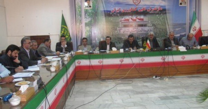 نشست ستاد کشت دانه روغنی کلزا در استان مازندران