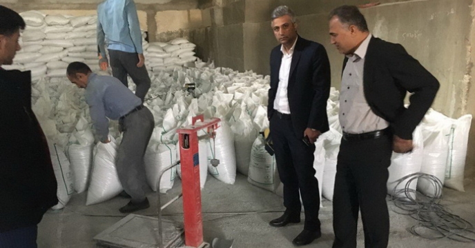 ادامه روند كيسه گيري و حمل همزمان كود هاي فله اي اوره و سوپر فسفات تريپل از انبار سازماني ياسوج جهت دسترسي به موقع كشاورزان به اين نهاده براي كشت پاييزه