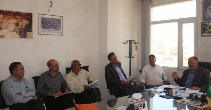 بررسی وضعیت کودی شهرستان ملارد