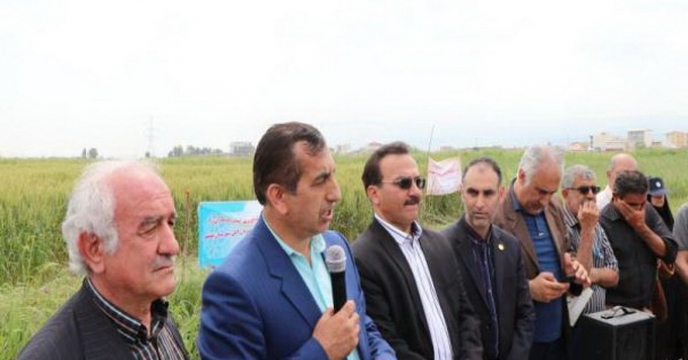 برگزاری کارگاه آموزشی مدرسه در مزرعه در استان مازندران