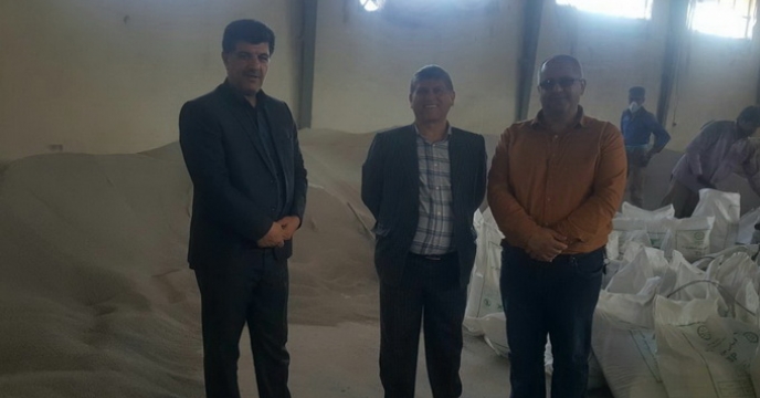 بازدید مدیر تعاون روستایی استان گلستان از سایت کیسه گیری  کود فله در انبار گنبد