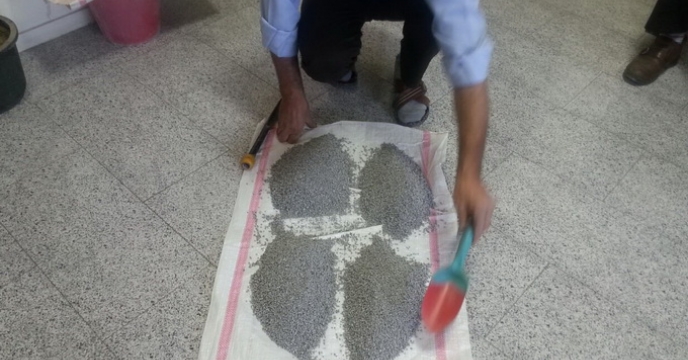 نمونه برداری از کود شیمیایی سوپرفسفات تریپل ارسالی شرکت تولیدی آذرکیمیا اکسید