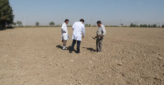 نمونه برداری خاک و آب از مزارع طرح الگویی تغذیه گیاهی