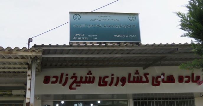 شبکه 270 واحدی کارگزاری در خدمت رونق تولید کشاورزی استان مازندران