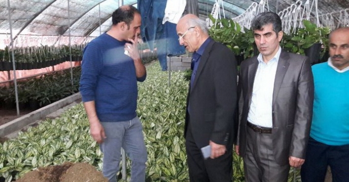شهرک گلخانه یی استان گیلان