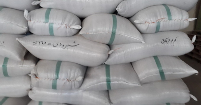 تامین و توزیع 337 هزارکیلوگرم بذر شلتوک برنج در مازندران