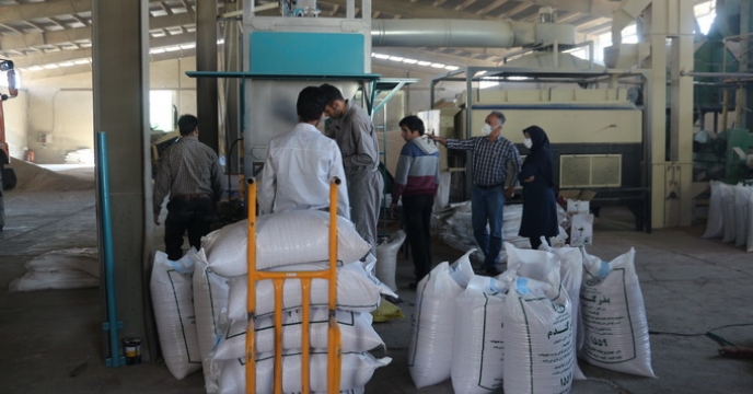 عملکرد شرکت خدمات حمایتی کشاورزی استان تهران در زمینه توزیع بذور اصلاح شده