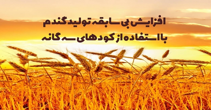 دستیابی به افزایش بیش از 4.5 میلیون تن تولید گندم با رشد 30 درصدی توزیع کودهای کشاورزی