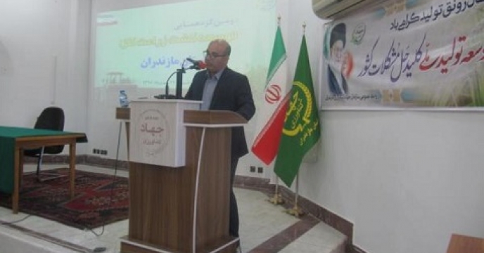 70 رقم بذر جهت کشت کلزا