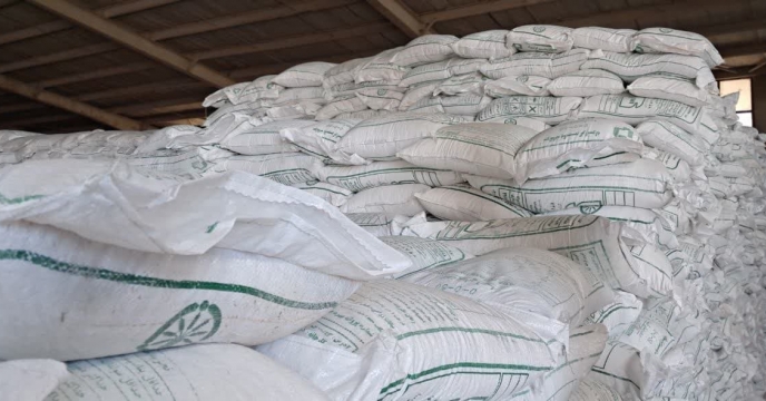 بیش از ۳۴ هزار و 840 تن کود یارانه‌ای در شمال کرمان بین کشاورزان  توزیع شد