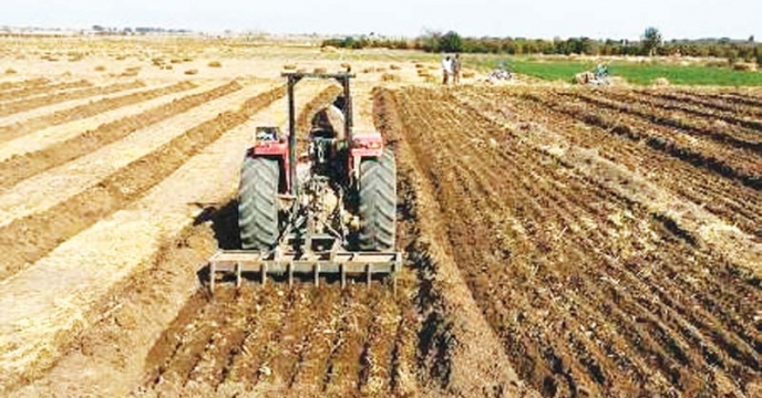 کاشت جو درشهرستان ارزوئیه استان کرمان درحال انجام است