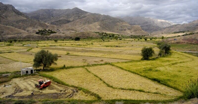 عملیات کشت مستقیم در اراضی شهرستان سربیشه خراسان جنوبی