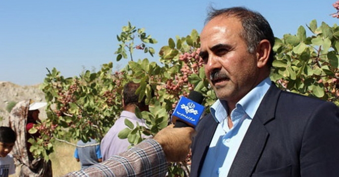 گزارش خبری کشت پسته در استان آذربایجان شرقی