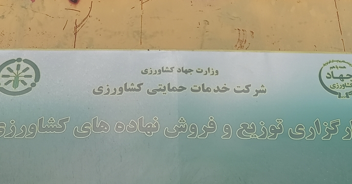 صدور کد انبارفرعی برای یک شرکت تعاونی روستایی توسط شرکت خدمات حمایتی کشاورزی