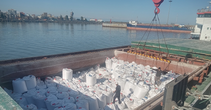  100 درصد برنامه ابلاغی تامین و توزیع کودهای پتاس توسط شرکت خدمات حمایتی کشاورزی اجرایی گردیده است