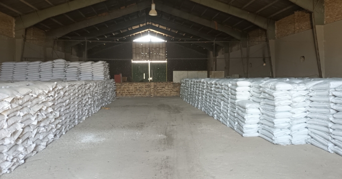 توزیع 1200 تن کود سولفات پتاسیم گرانوله توسط شرکت خدمات حمایتی کشاورزی