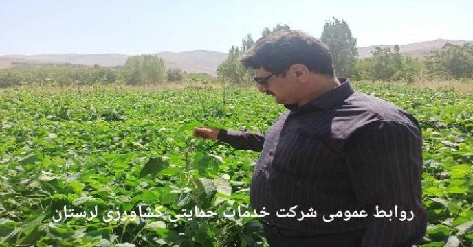 توزیع وحمل میزان 10 تن کودسوپر فسفات تریپل از انبار ذخیره مرکزی به مقصد انبار کارگزاران شهرستان پلدختر در استان لرستان
