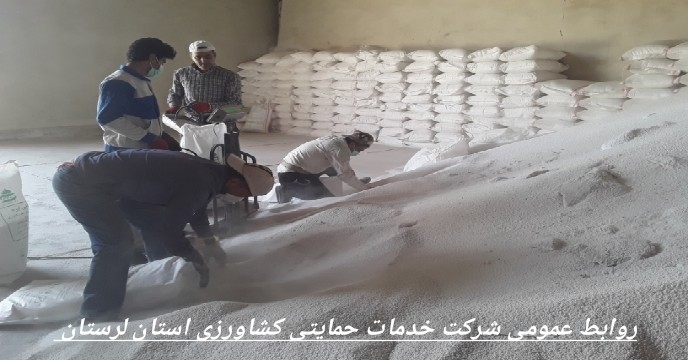 آغاز کیسه گیری کودهای اوره ی فله در انبار های ذخیره ی سراب چنگایی شهرستان خرم آباد