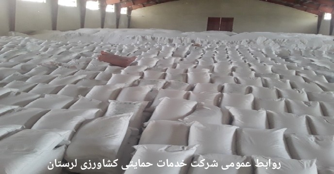 کیسه گیری بیش 3 هزارتن کود کشاورزی اوره در شرکت خدمات حمایتی کشاورزی لرستان