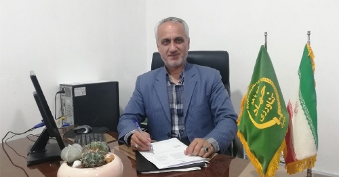 کشت مجدد برنج در 350 هکتار در میاندورود استان مازندران