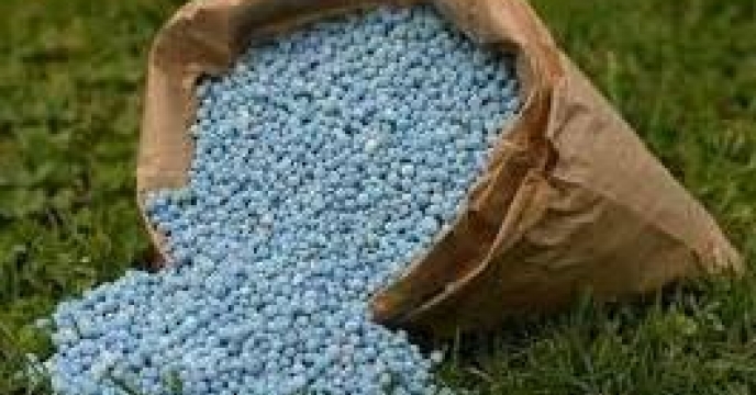 مبارزه بیولوژیک با آفات در 2هزار هکتار در بابلسر مازندران