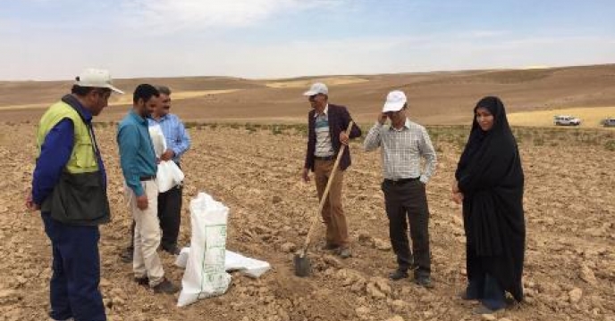 نمونه برداری از خاک مزرعه منتخب در استان کردستان