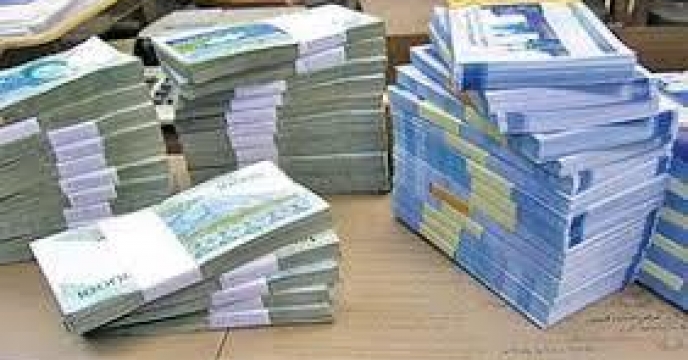 600 میلیون ریال تسهیلات بلاعوض برای کشاورزان خسارت دیده نور