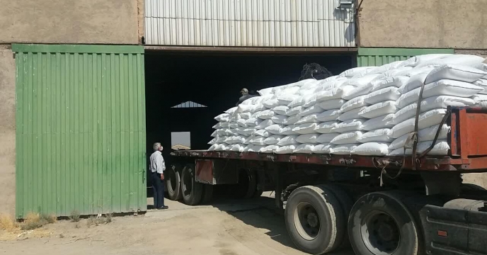 تأمین و تدارک کود اوره در روستای نهرمیان منطقه شازند 