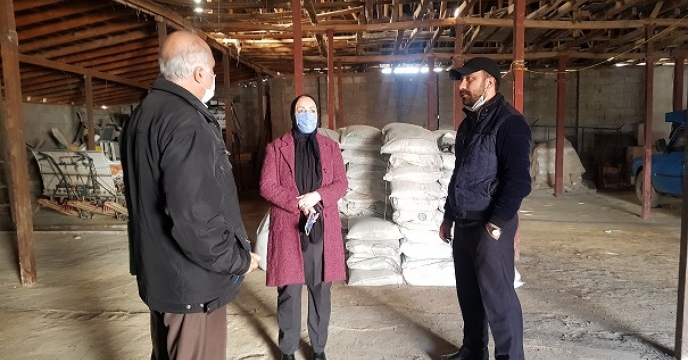 بازدید کارشناسان حسابرسی و بازرسی اعزامی از کارگزاری های استان گیلان