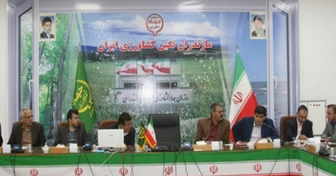 نشست هماهنگی ارتقاء سلامت محصولات کشاورزی مازندران