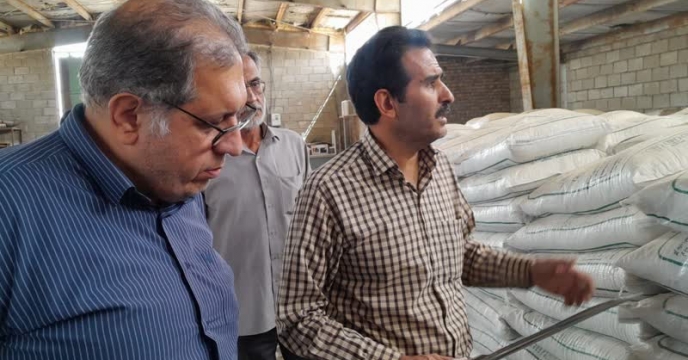 نمونه برداری از کود سولفات  پتاسیم گرانوله با حضور دکتر قائمی و مدیریت  در انبار سازمانی استان مرکزی 