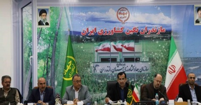 نشست سند توسعه کشاورزی استان مازندران