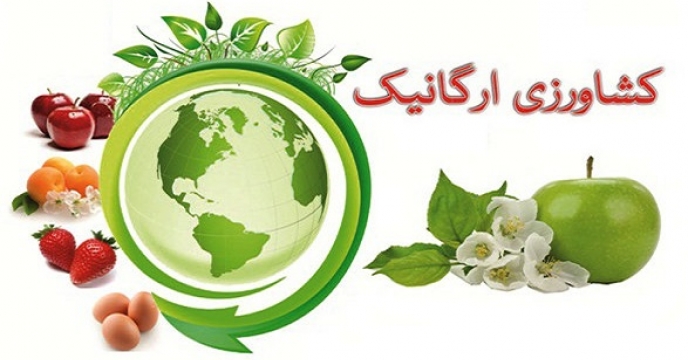 تخفیف 20 درصدی حق بیمه برای تولیدکنندگان محصولات گواهی شده و ارگانیک در آذربایجان غربی