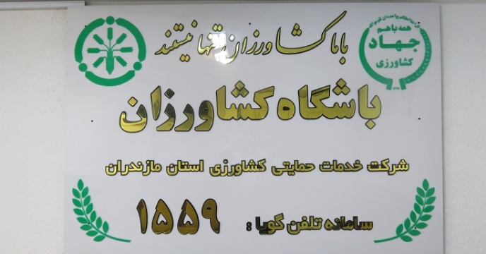 انتقال پیام ترویجی به کشاورزان در مازندران