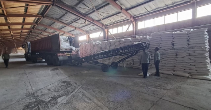 انواع کود کشاورزی به میزان 125 تن در شهرستان تبریز توزیع شد