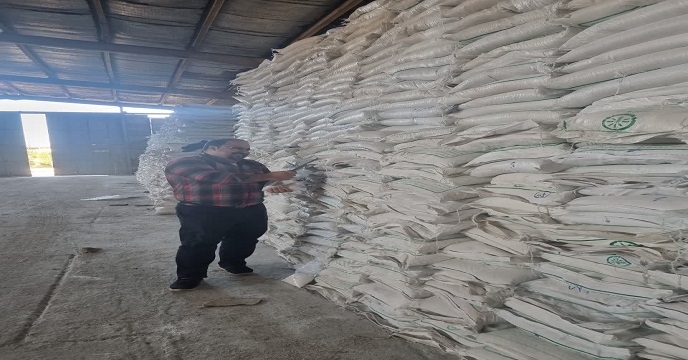 نمونه برداری از محموله سولفات پتاسیم پودری – استان خوزستان