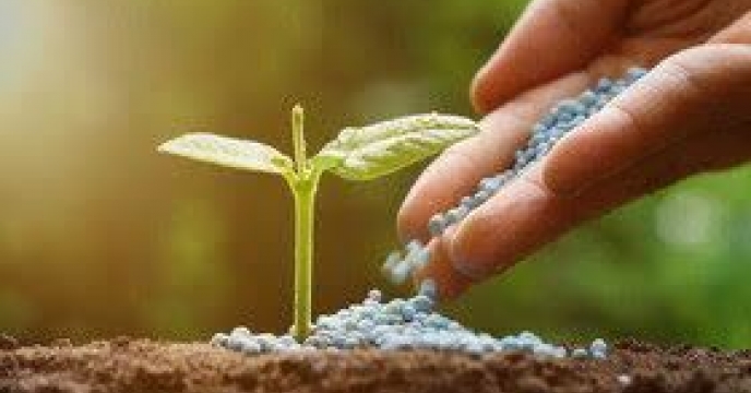 جذب بیش از ۸۷ درصد سهمیه کودی سال ۱۴۰۲ در شهرستان باروق