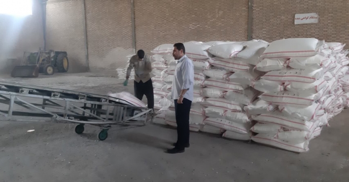میزان 877 تن کودکشاورزی اوره در استان کرمانشاه توزیع شد