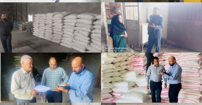 اتمام عملیات پایش، کنترل و نظارت بر روند توزیع کود در کارگزاری های شرکت خدمات حمایتی کشاورزی استان گیلان در سال 1403