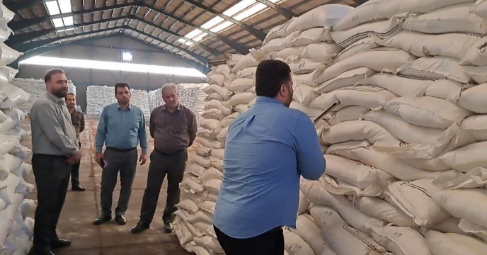 نمونه برداری از3200 تن کود کلرور پتاسیم گرانول در  شرکت خدمات حمایتی کشاورزی استان گیلان