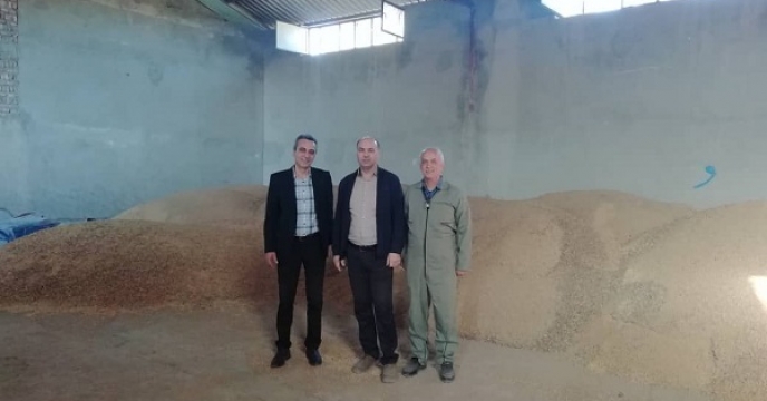  بازدید از مرکز  خرید بذر سویا از شرکت هیرکانیان بذر