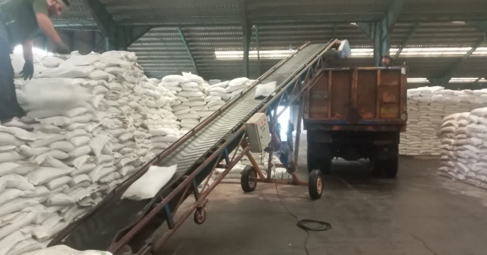 شرکت خدمات حمایتی کشاورزی استان گیلان در آذر ماه سال جاری بیش از 4294  تن از انواع نهاده کشاورزی را بین انبار کارگزاران درسطح استان گیلان توزیع کرد