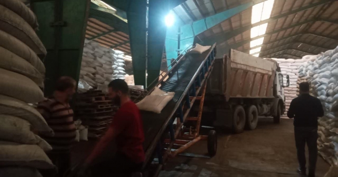 توزیع ۱۴۰ تن کود کشاورزی در شهرستان سیاهکل؛ حمایت از کشاورزان گیلان ادامه دارد