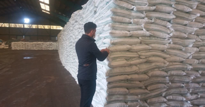 عملیات نمونه برداری از ابتدای سال جاری در شرکت خدمات حمایتی کشاورزی استان گیلان