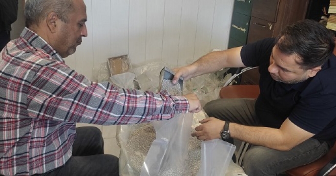 نمونه برداری از کود فسفات 16 درصد در انبار سازمانی شرکت خدمات حمایتی کشاورزی استان سیستان وبلوچستان 