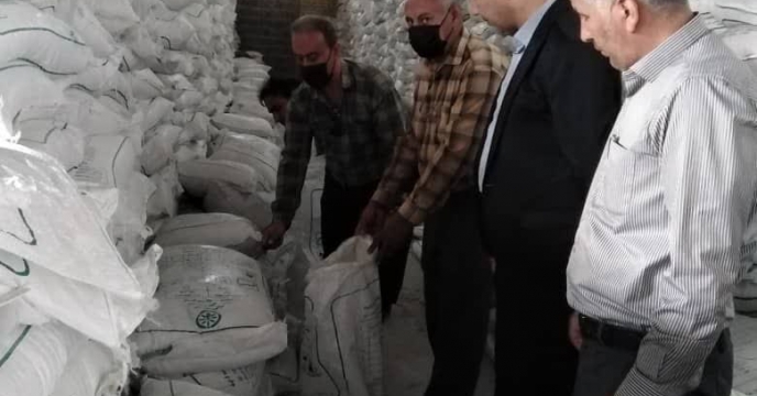 بازدید مدیر شعبه فارس از مراحل نمونه برداری کود در انبارهای سازمانی 